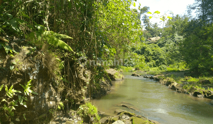 Freehold 1.500 sqm Land with Stunning Views of Valley and River in Ubud - Terraced Contours, Perfect for Luxury Villas 1