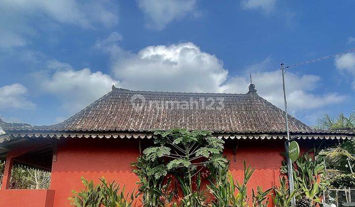 Cozy Fully Furnished Home for Yearly  in Ubud - Perfect Location! 1