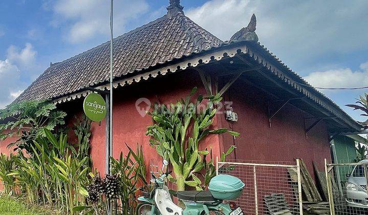 Cozy Fully Furnished Home for Yearly  in Ubud - Perfect Location! 2