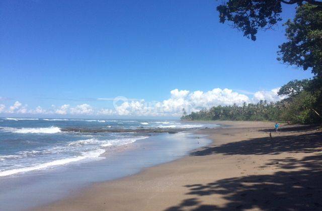 Amazing 37,915 Sqm Beachfront Freehold Land In Jembrana Negara 2