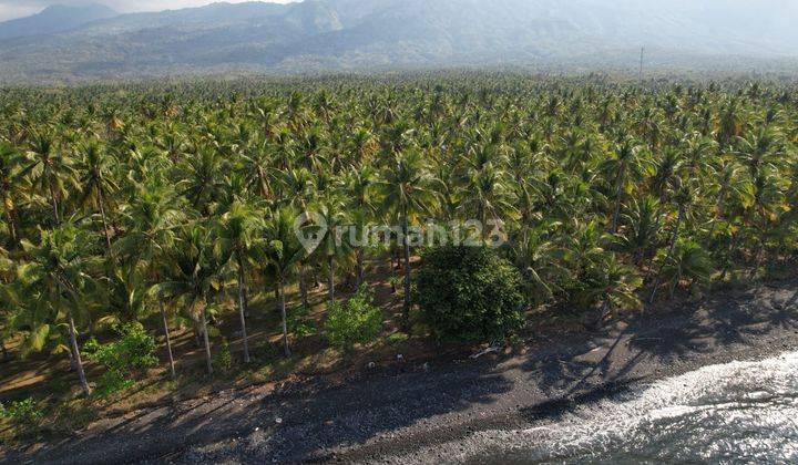 Leasehold - Exclusive Beachfront Land in Tejakula, Buleleng - A Rare Investment Opportunity 1