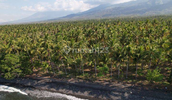 Leasehold - Exclusive Beachfront Land in Tejakula, Buleleng - A Rare Investment Opportunity 2