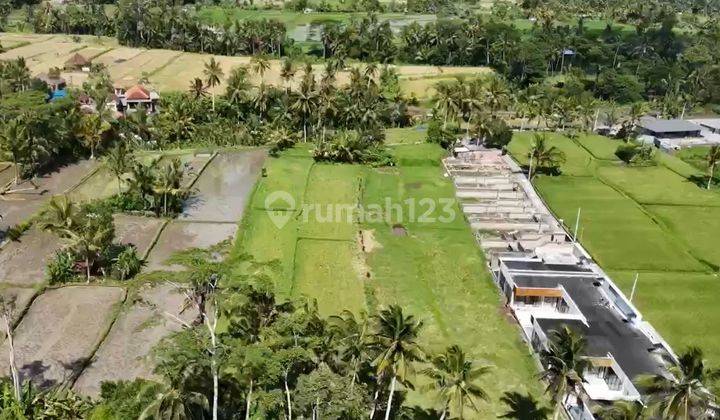 Prime 3.130 sqm of Leasehold Land with Stunning Rice Field Views in Ubud - Walking Distance from Empathy School 2