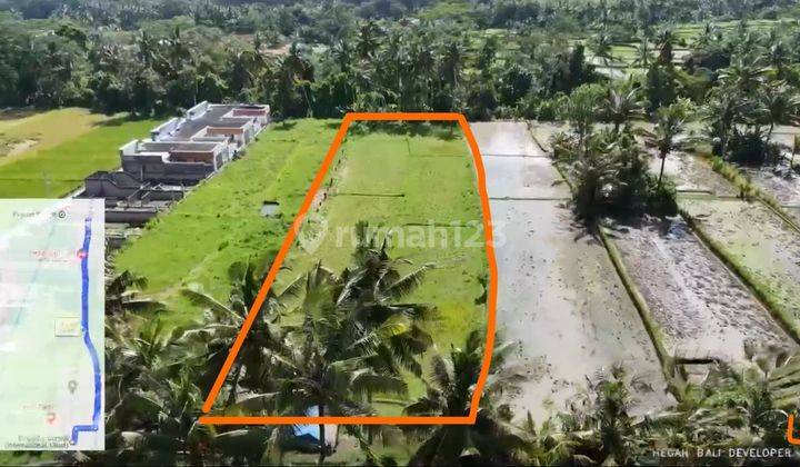 Prime 3.130 sqm of Leasehold Land with Stunning Rice Field Views in Ubud - Walking Distance from Empathy School 1