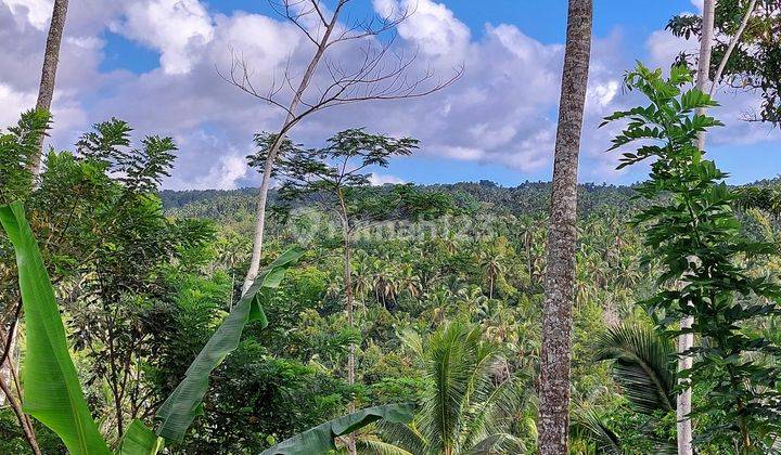 5.850 Sqm of Freehold Land  with Beautiful Mountain View Located in Tabanan 1