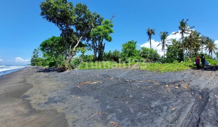 2.000 Sqm of Freehold Land for Sale with Views of Stunning Beach Located in Negara