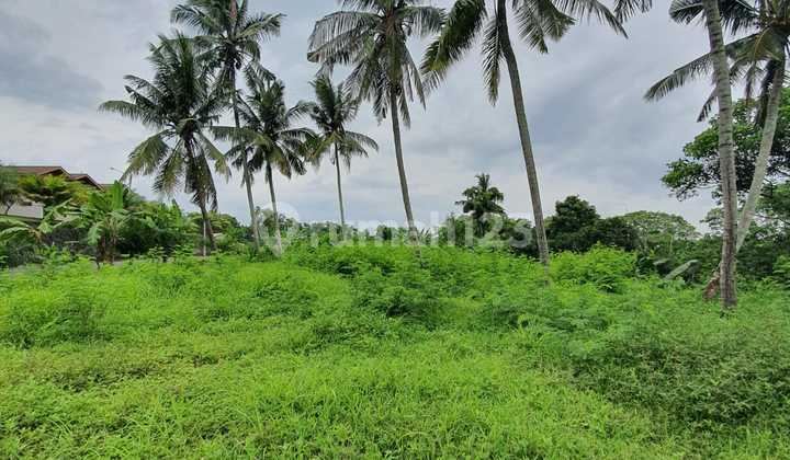 Freehold - Rare Oppotunity Exclusive Land With Rice Field Views And Riverside In Green Lot, Cemagi, Bali