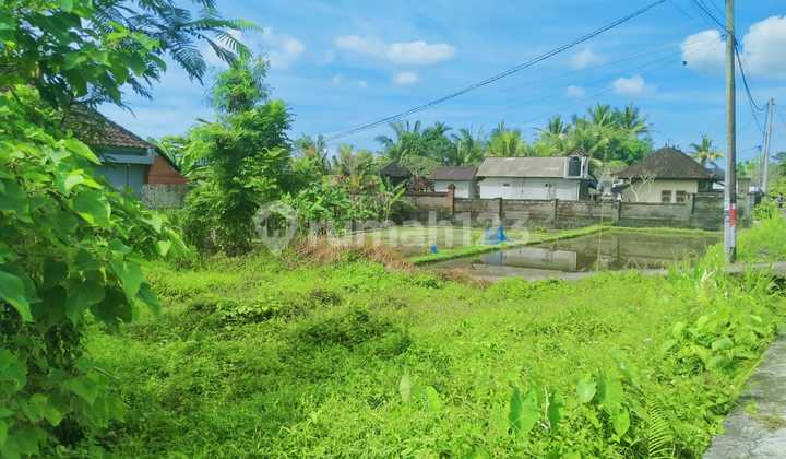 Prime 200 Sqm Of Leasehold Land: Build Your Dream In Ubud!