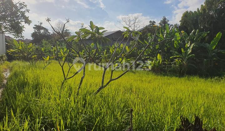 Leasehold - Rare Opportunity! 10 Are Land in prime area, Canggu, Bali