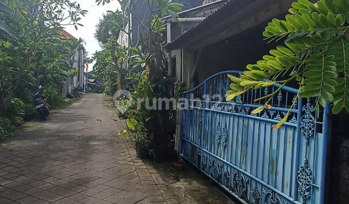 Leasehold - Affordable 3-Bedroom House In Canggu, Bali 2