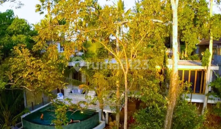 Incredible Three Captivating Leasehold Properties in A Spectacular Jungle River Setting in Ubud