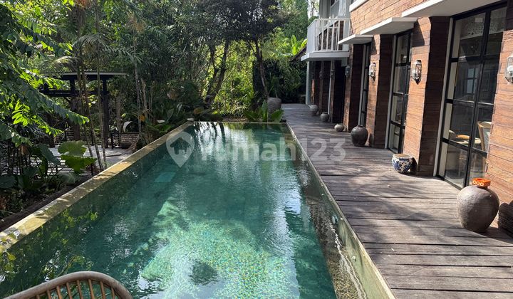 Freehold - Luxury Freehold Riverside Villa With Infinity Pool Near Sanur, Bali