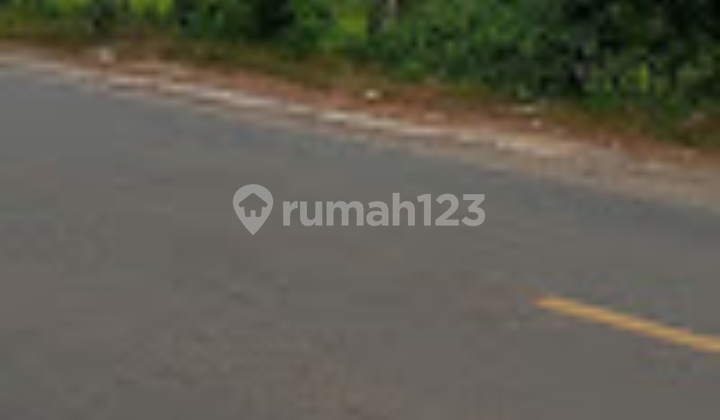 Tanah Dijual Brengok, Kec. Brondong Lamongan 1