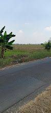 Tanah Dijual Kemuning, Tarik Sidoarjo 1