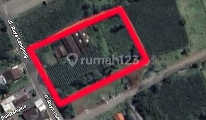 Tanah di Langlang, Singosari - Malang Tanah di Langlang, Singosari - Malang