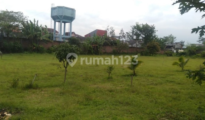 Strategic Warehouse Ready for Use in Pakis, Malang. Strategic Warehouse Ready for Use in Pakis, Malang.