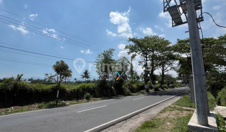 Cepat Tanah Pertanian Poros Jalan Aspal di Banjarejo Pakis Malang