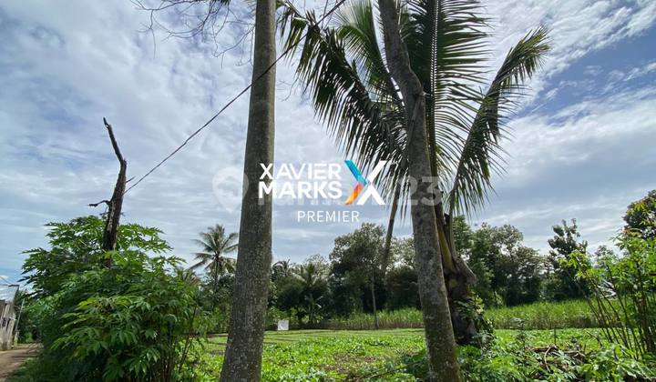 Ready-to-Build Dry Land in Kedungrejo Village, Pakis, Malang.