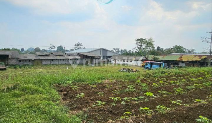 Former Factory Warehouse Area 1.8 Ha in Jabung Pakis, Malang Former Factory Warehouse Area 1.8 Ha in Jabung Pakis, Malang