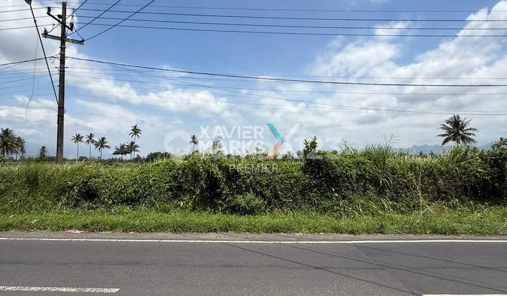Lahan di Poros Jalan Raya Banjarejo, Pakis Kabupaten Malang