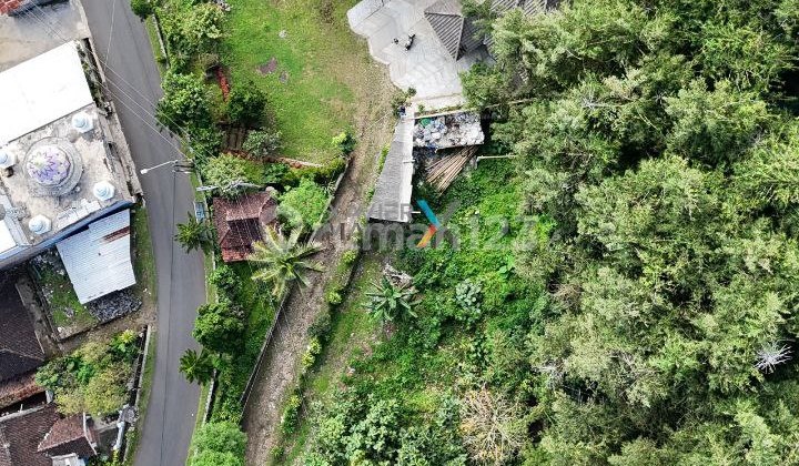 Tanah dan Rumah di Poros Jalan Raya Petungsewu, Dau Malang