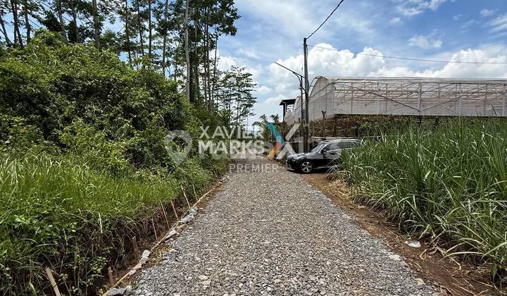 Land Location Near The Araya Housing Estate Gate, Pakis Malang Land Location Near The Araya Housing Estate Gate, Pakis Malang