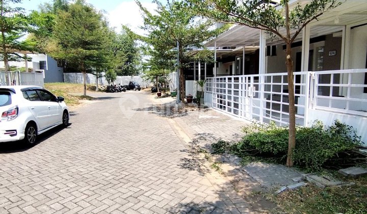 Dijual Rumah Cantik Terawat Dekat Binus Araya Malang 2