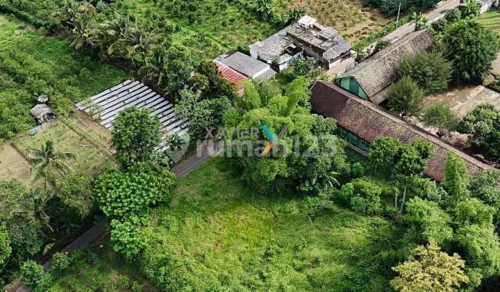 Tanah di Dieng Atas Jalan Pesantren, Karangwidoro Dau Malang Tanah di Dieng Atas Jalan Pesantren, Karangwidoro Dau Malang