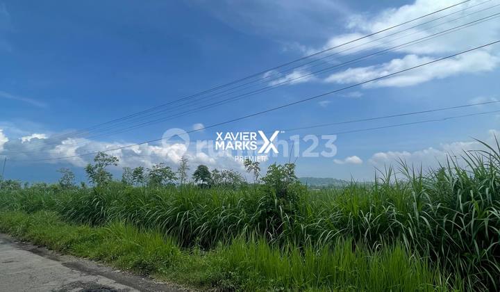 Tanah Cocok untuk Kegiatan Pertanian, Peternakan, dan Budidaya Perikanan Lokasi Dekat Bandara Abdur Rachman Saleh