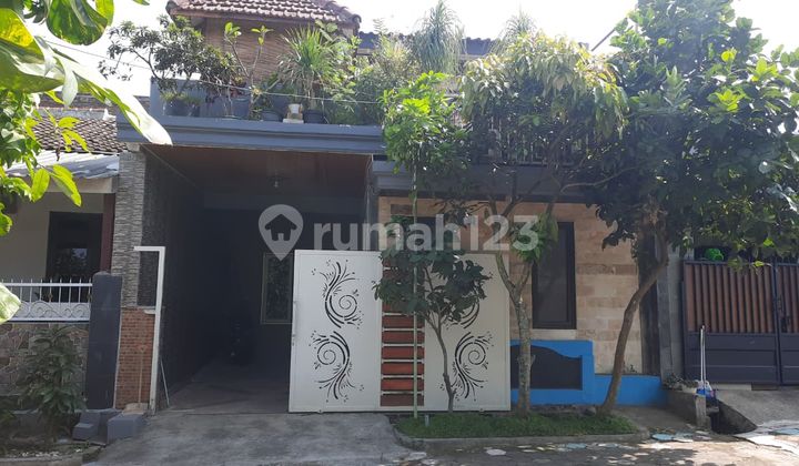 Rumah Siap Huni di Asrikaton Pakis Malang Rumah Siap Huni di Asrikaton Pakis Malang