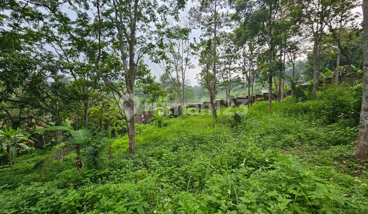 Jual Tanah Jalan Raya Trawas SHM Trawas Mojokerto Ema 387 Jual Tanah Jalan Raya Trawas SHM Trawas Mojokerto Ema 387