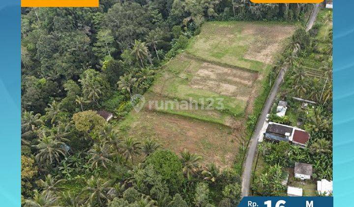 Tanah Bukian Tegallalang View Sawah Dan Jungle Frd 04 1