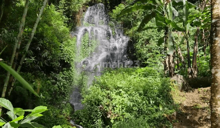 Tanah dengan 2 ( Dua ) Air terjun di Munduk.Buleleng 3