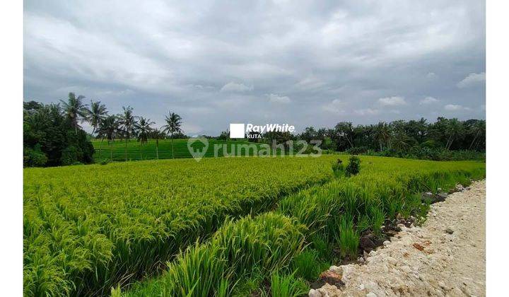 Plot Land In Munggu Near Pererenan Beach 6
