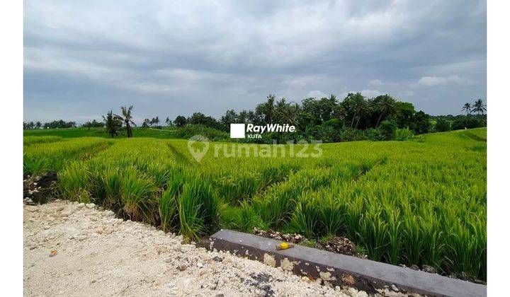 Plot Land In Munggu Near Pererenan Beach 8