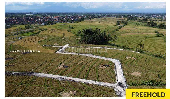 Plot Land In Munggu Near Pererenan Beach 1