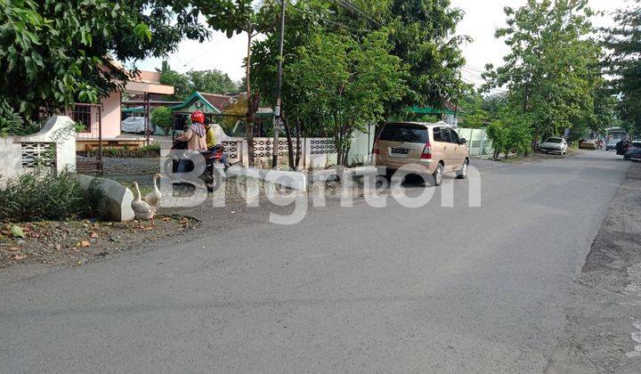 BUTUH LAKU CEPAT !! RUMAH DAN TANAH MAJAPAHIT 1