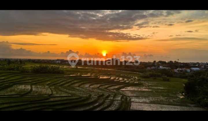 For Sale Hotel Canggu Badung Bali For Sale Hotel Canggu Badung Bali