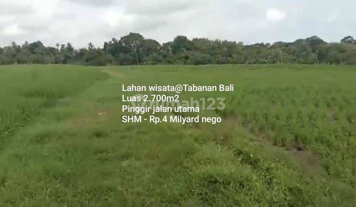 Tourist Land In Commercial Area @Tabana Bali 1