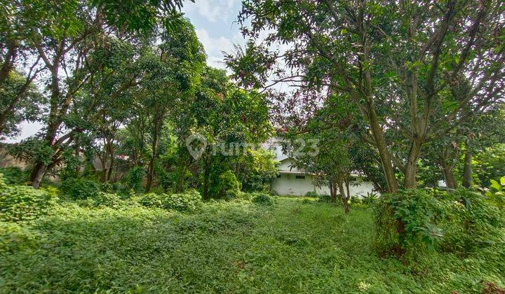Jual Cepat di bawah NJOP Tanah 2 Hektar di Cilegon Kota 1