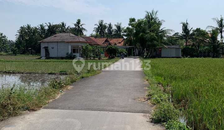 For Sale: 525 M2 Land in East Sepatan, Tangerang Regency For Sale: 525 M2 Land in East Sepatan, Tangerang Regency