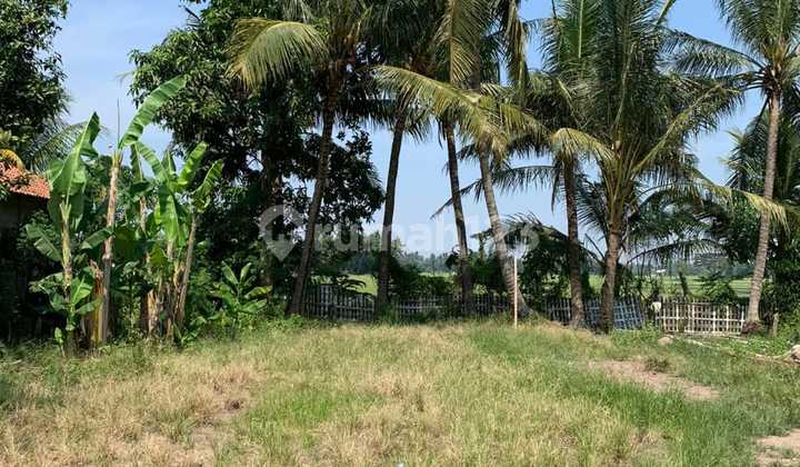 For Sale: 525 M2 Land in East Sepatan, Tangerang Regency For Sale: 525 M2 Land in East Sepatan, Tangerang Regency