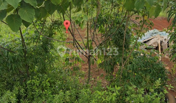 Dijual Tanah Di Cisauk Tangerang Dijual Tanah Di Cisauk Tangerang