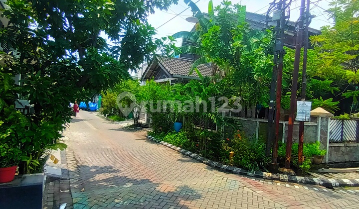 Pandugo Baru Hook Behind Rungkut Mosque Surabaya 2