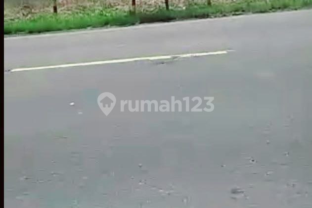 Commercial Land 0 Main Road in Tuban Widang