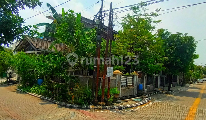 Pandugo Baru Hook Behind Rungkut Mosque Surabaya Pandugo Baru Hook Behind Rungkut Mosque Surabaya