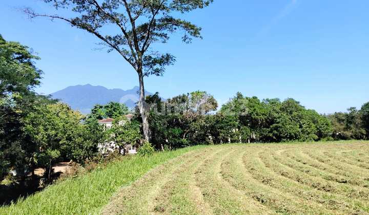 Kavling View Golf Dan Gunung Di Rancamaya Golf Bogor