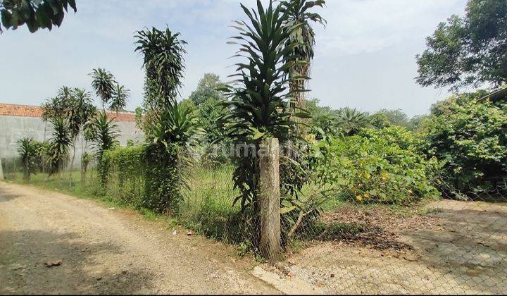 Tanah Murah di Desa Babakan Ciseeng Bogor 6