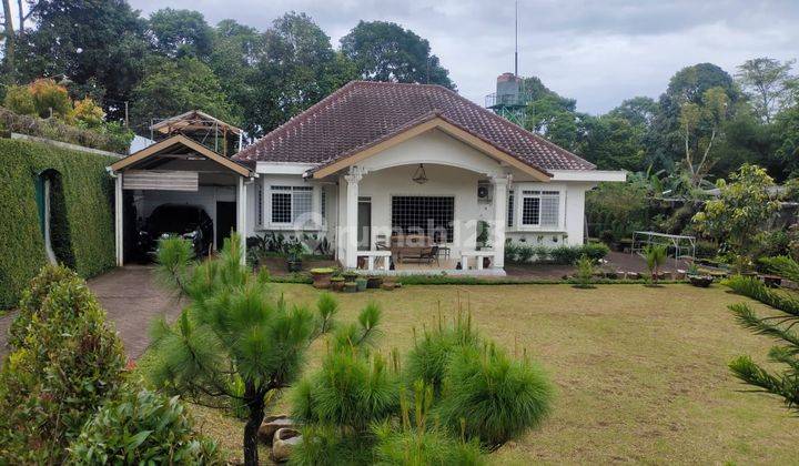 Gudang Murah di Jalan Raya Sukabumi Bogor 5