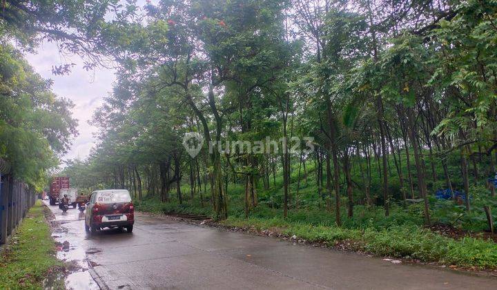 Tanah Industri di Kawasan Tengsaw Citeureup Bogor 2